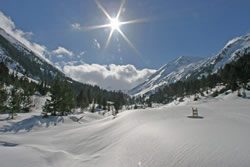 Bansko Image
