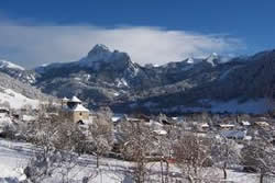 Bernex Image