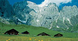 Hochkoenig Image
