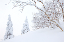 Sahoro Resort Image