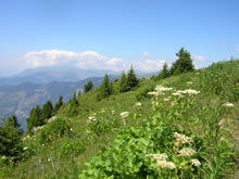 La Tania Image