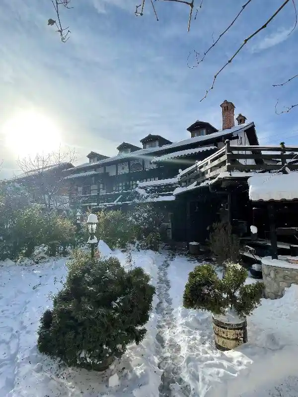 Chalet Mila