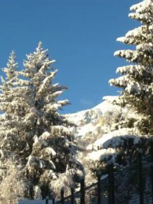 Chalet Bianca