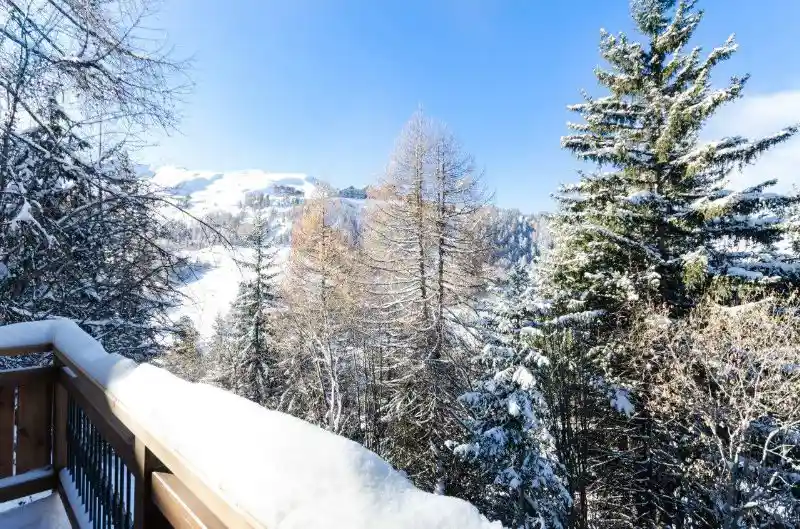Chalet Ammonite