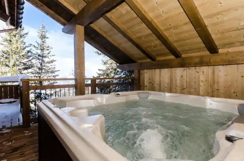 Chalet Ammonite