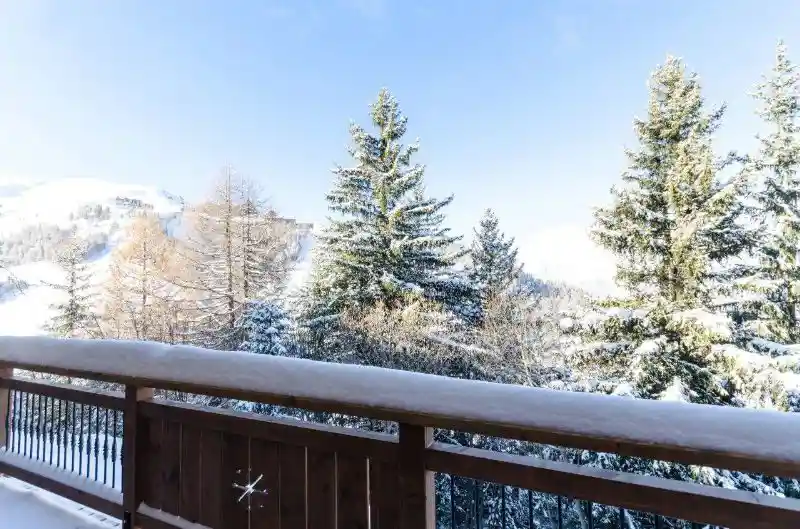 Chalet Ammonite