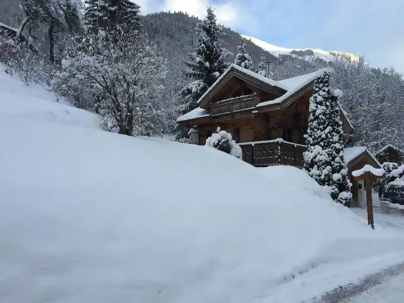 Chalet Vionnet