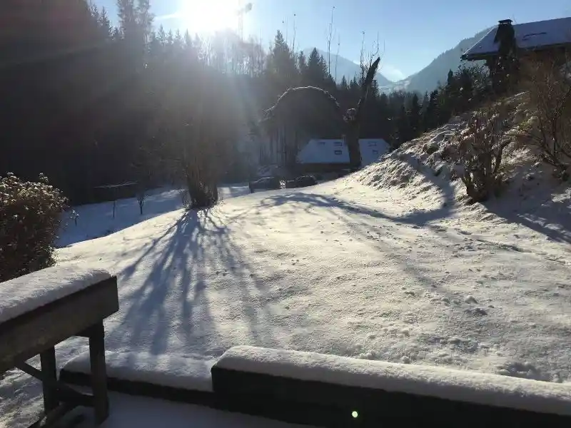 Chalet Vionnet