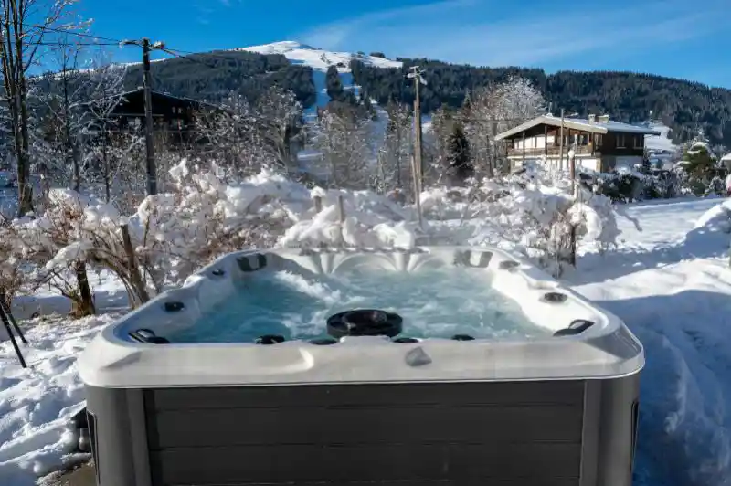 Chalet Grizzly