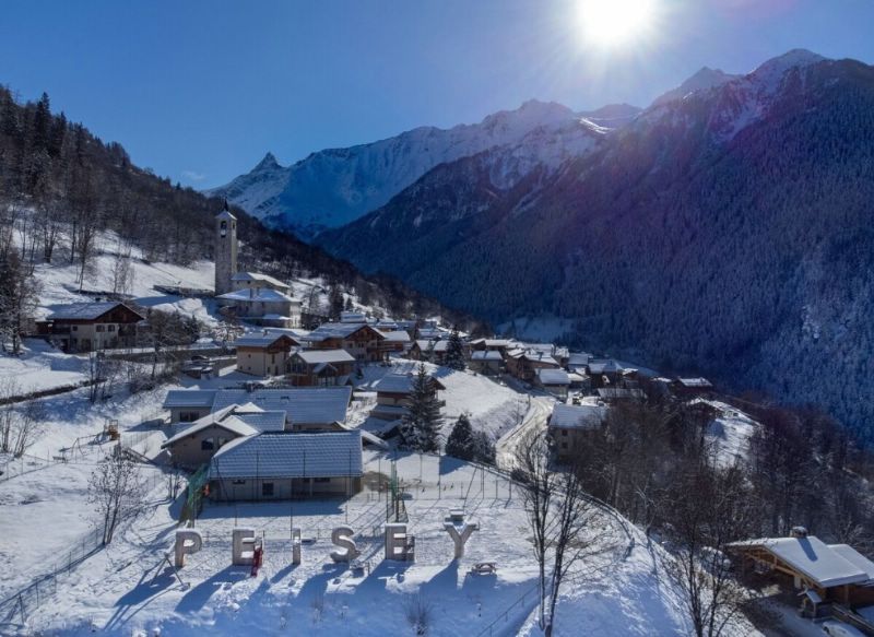 Chalet Michka
