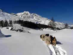Sainte Foy Image