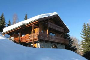 Chalet Pisteside