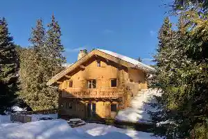 Chalet Nid Alpin
