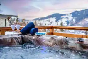 Chalet Brigitte