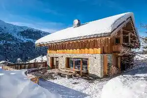 Chalet Zebra
